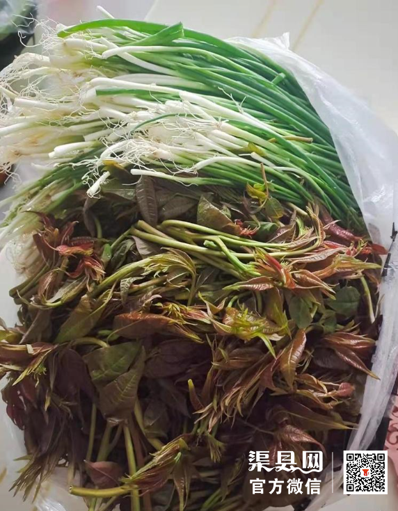 微信截图_20210319104608.png