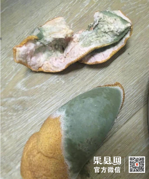 微信截图_20210322111748.png