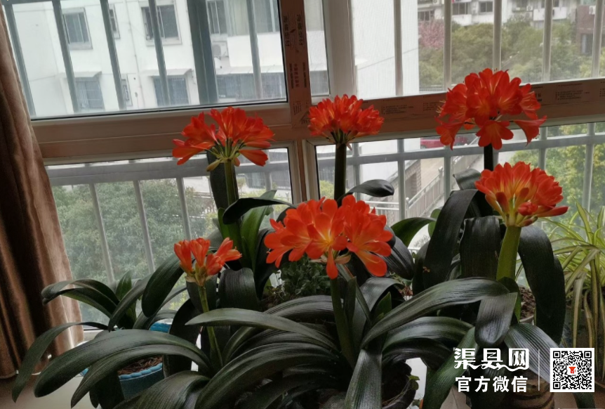 微信截图_20210324152819.png