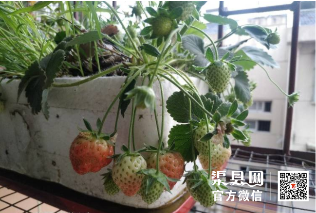 微信截图_20210422094012.png