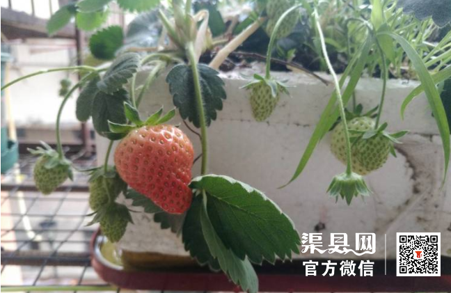 微信截图_20210422094023.png