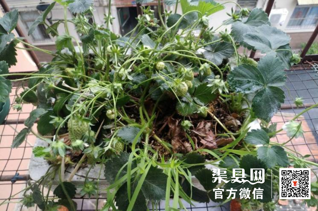 微信截图_20210422094037.png