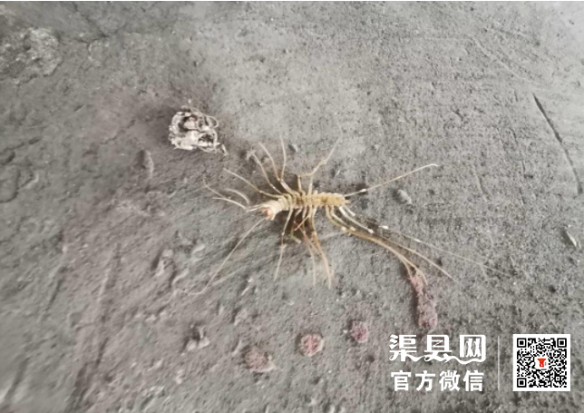 微信截图_20210423114526.png