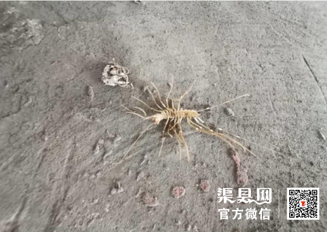 微信截图_20210423114545.png