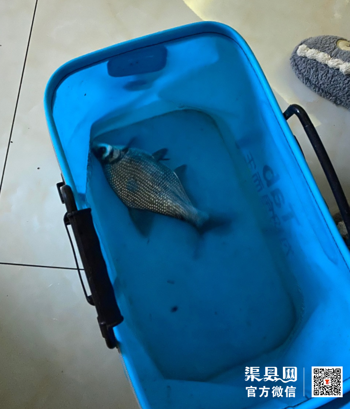 微信截图_20210427154441.png