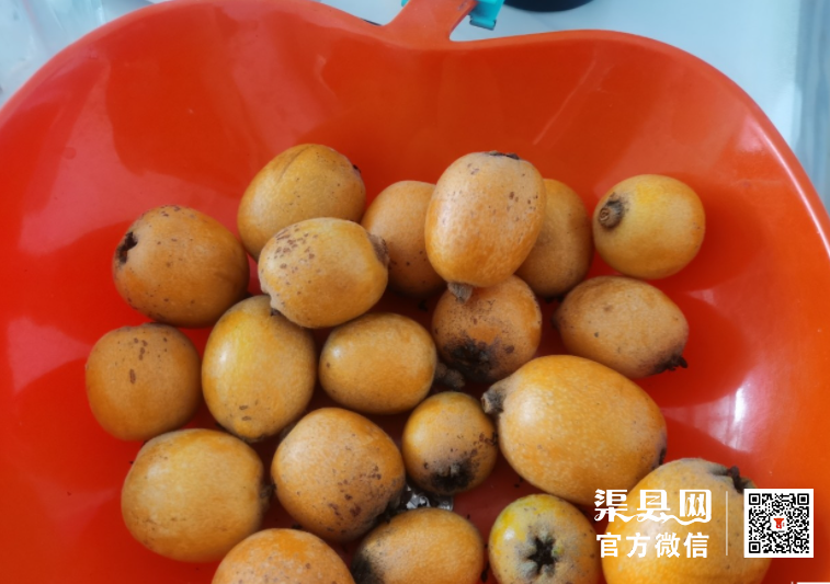 微信截图_20210429111559.png