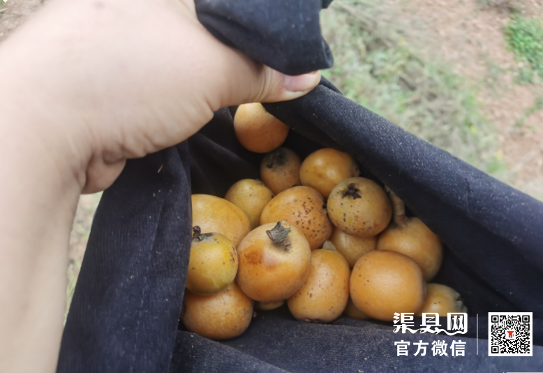 微信截图_20210429111541.png