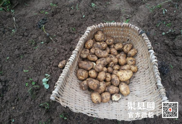 微信截图_20210526110617.png