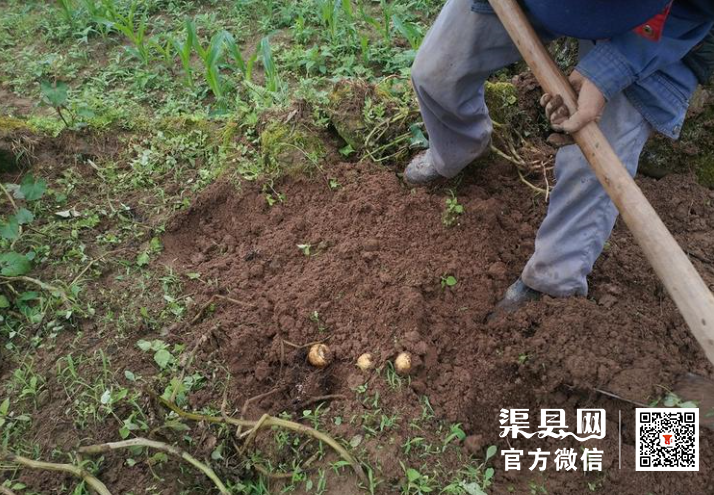 微信截图_20210526110643.png