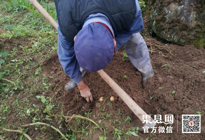 微信截图_20210526110635.png