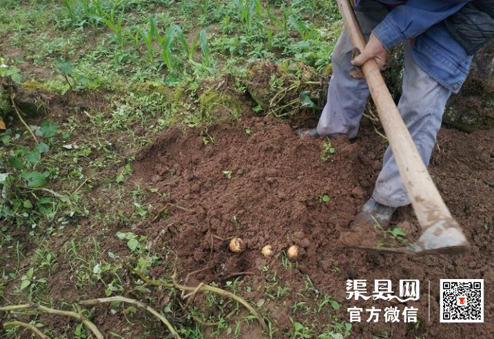 微信截图_20210526110624.png