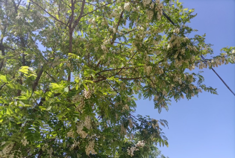 微信截图_20210528101819.png