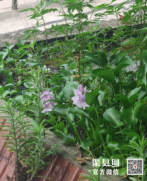 微信截图_20210701095020.png