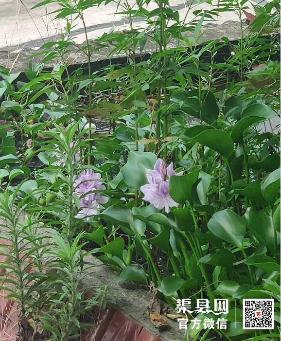 微信截图_20210701095009.png