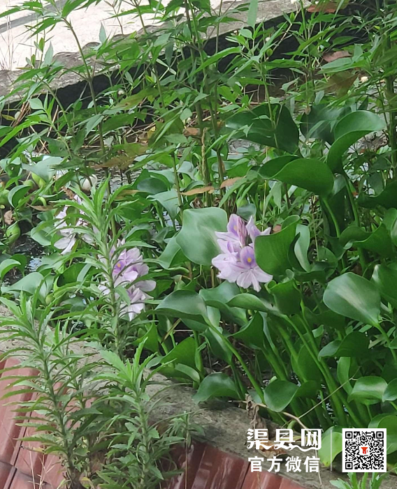 微信截图_20210701094959.png