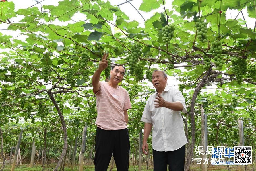 （习近平的小康故事·图文互动）（5）“关键核心技术是要不来、买不来、讨不来的”——习近平推动科技创新的故事