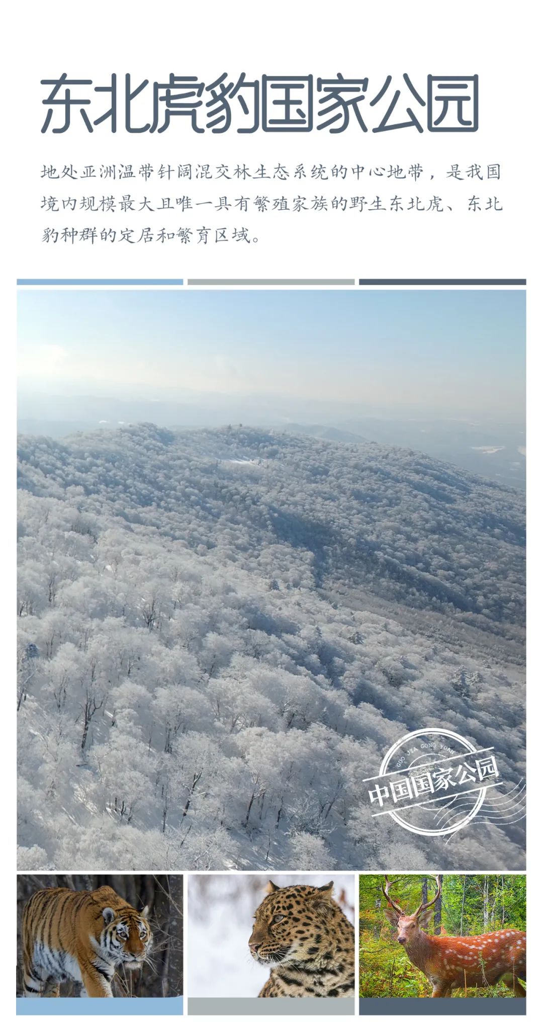 640?wx_fmt=jpeg