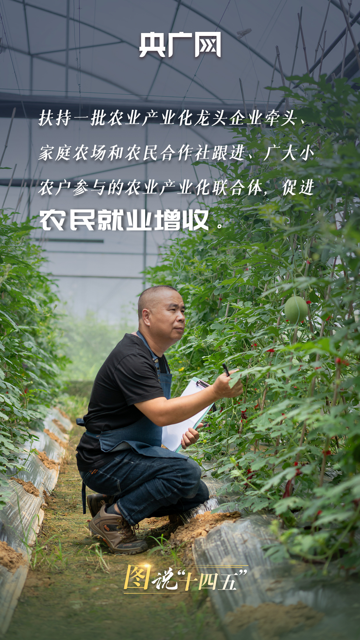 2ac0-9b9bc95ae2dffccba141f62320bfa753.jpg