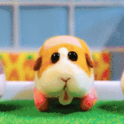 49.gif