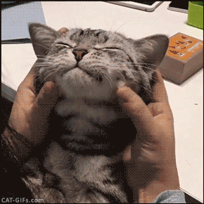 220.gif