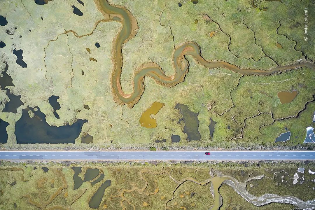 342.jpg
