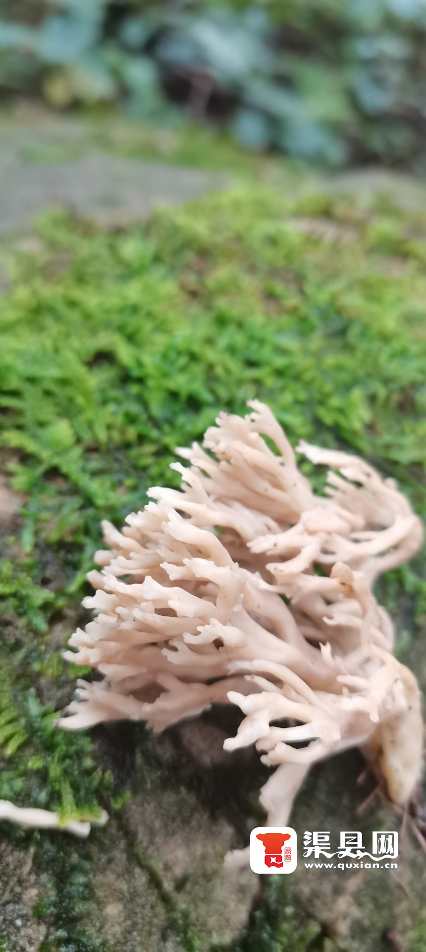 20220105214438front2_0_232685_Fqs0hOjP99x3xLMTkjvJm2OqDwd9.jpg
