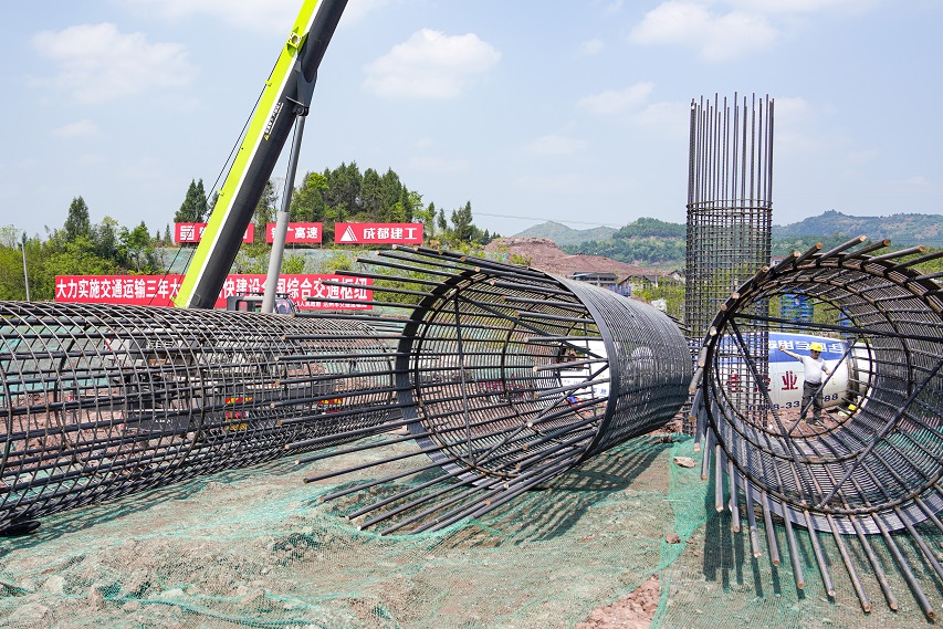 dz_img_20220411173208772