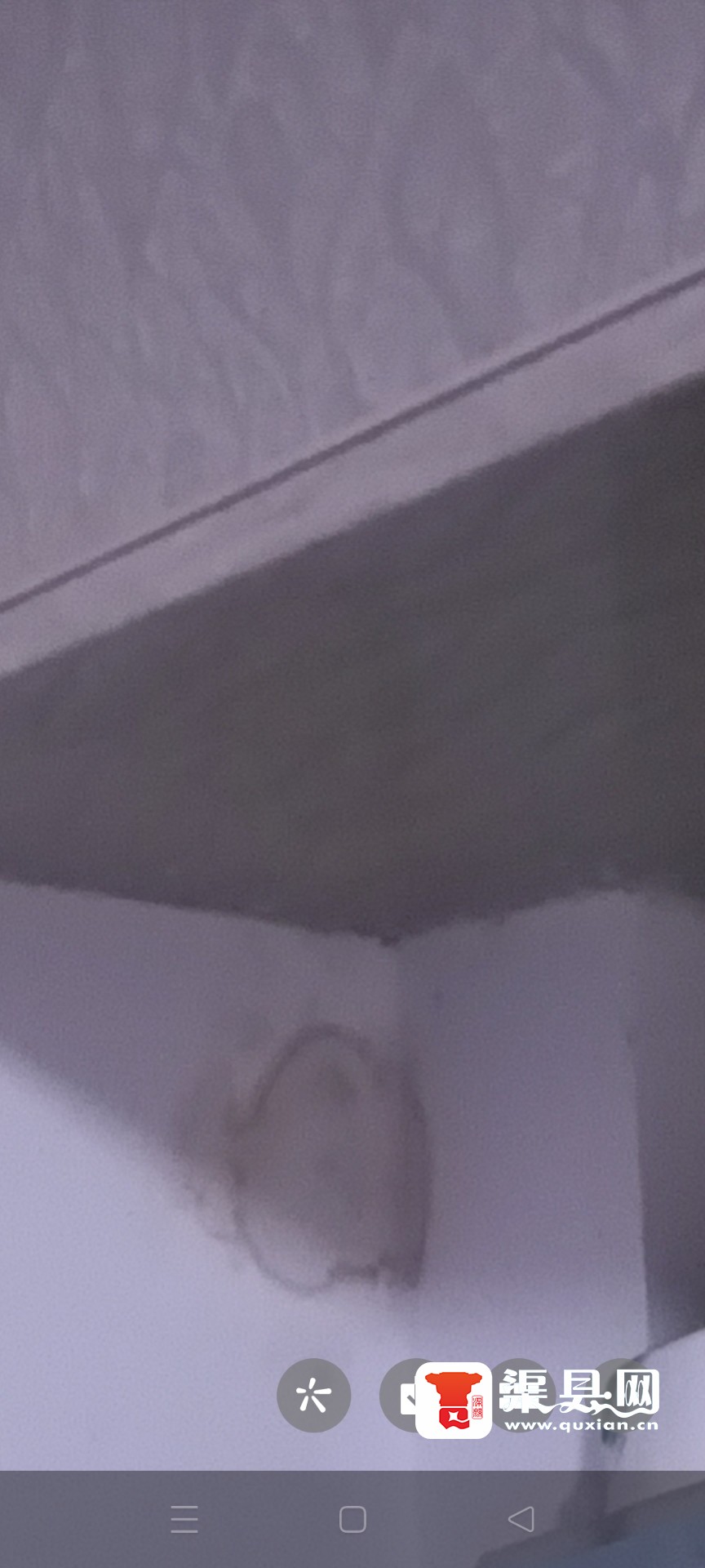20220509132727front2_0_111874_FsGjIyNuogIXq0iGQ8iT7H01iK80.jpg