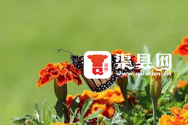 20220807111741front2_0_245504_Fon12ag1Cu8nfA18FrnECq_d3FWH.jpg