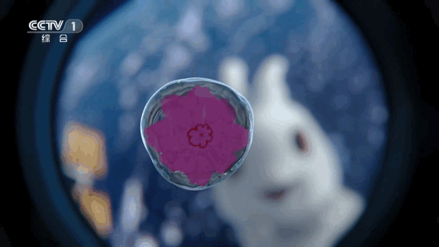 20230124230614816.gif