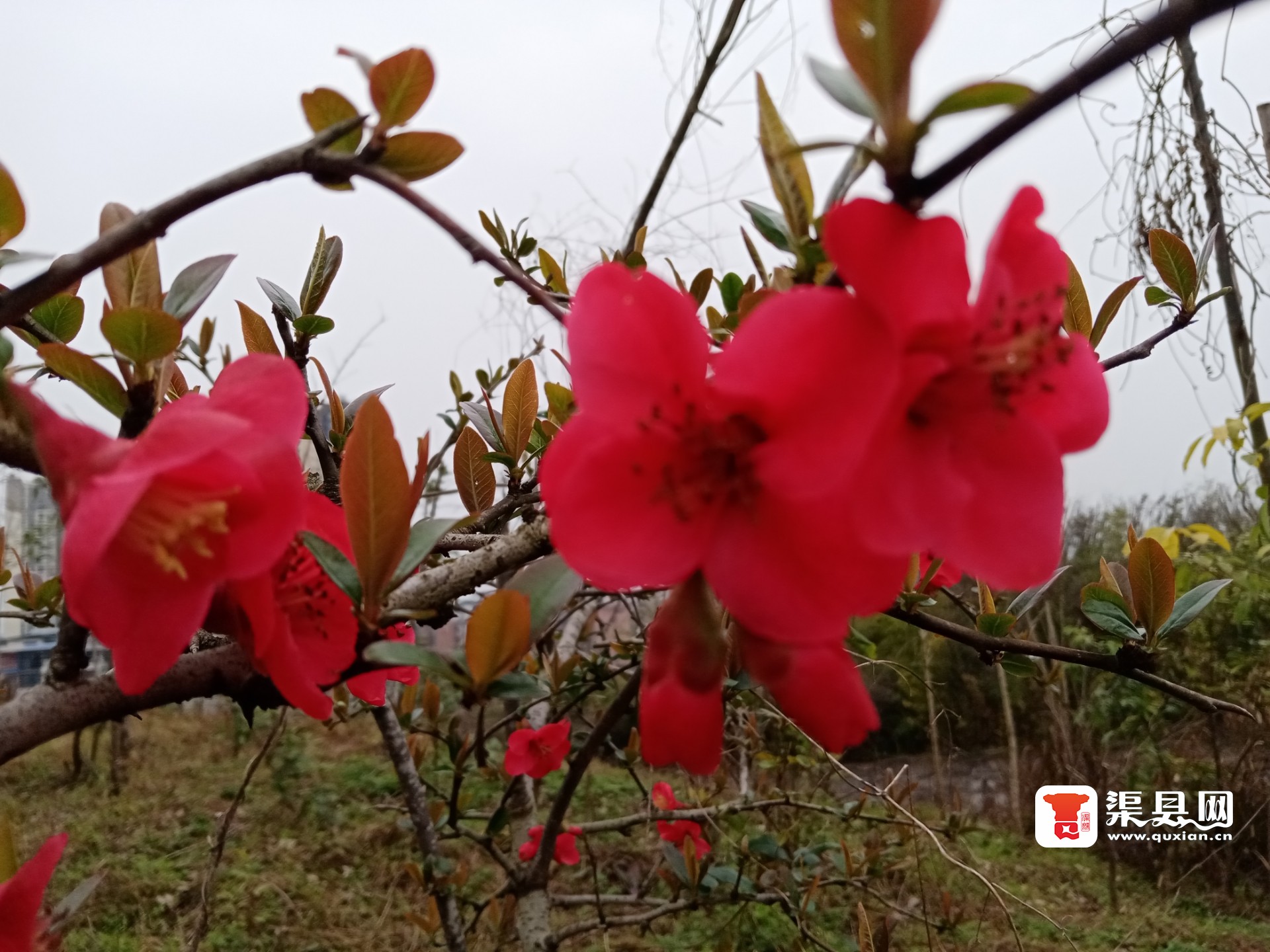 20230308092652front2_0_245504_Fqzd-DM7QaqJE-sG7iUnGEXUD45M.jpg