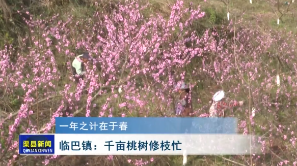 微信截图_20230323201435.png