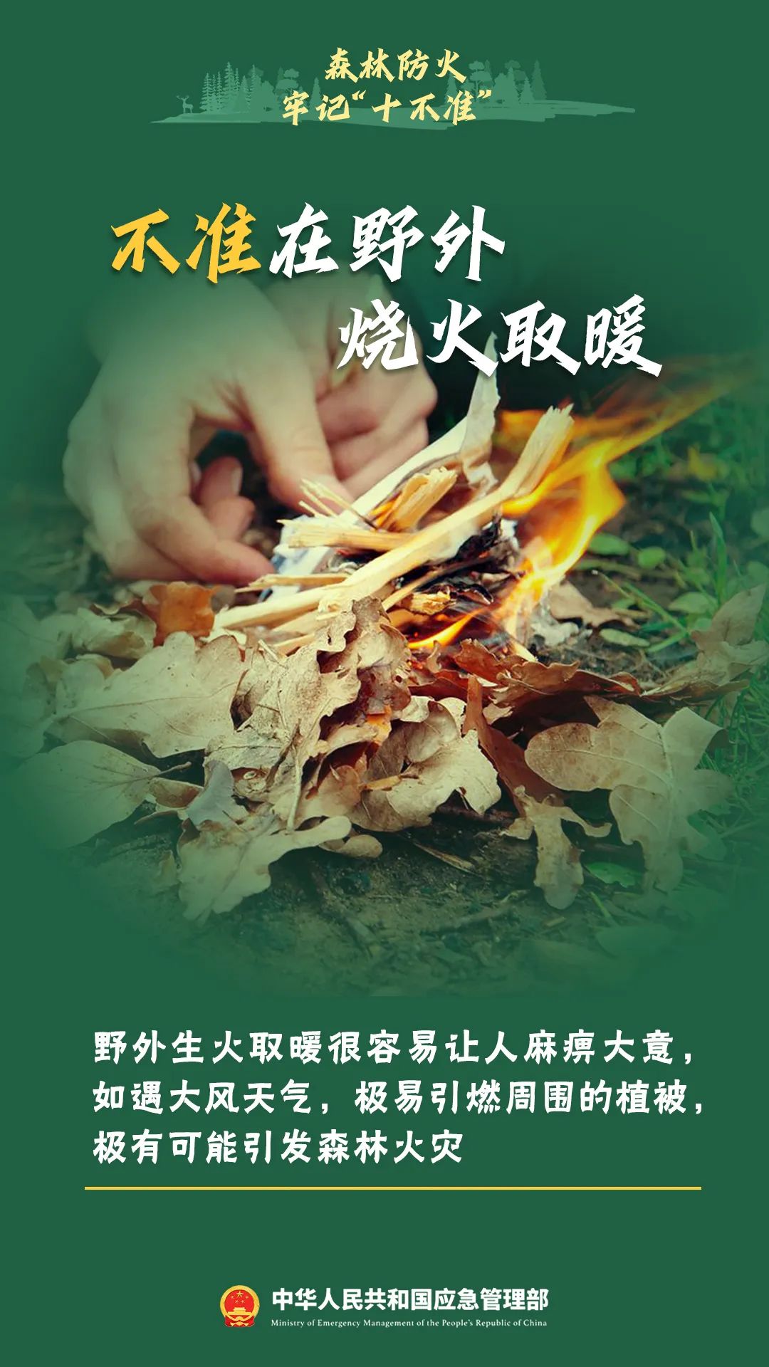 6550708_fa3f8dcc-63d0-42fb-869a-a6a49331d51d.jpg