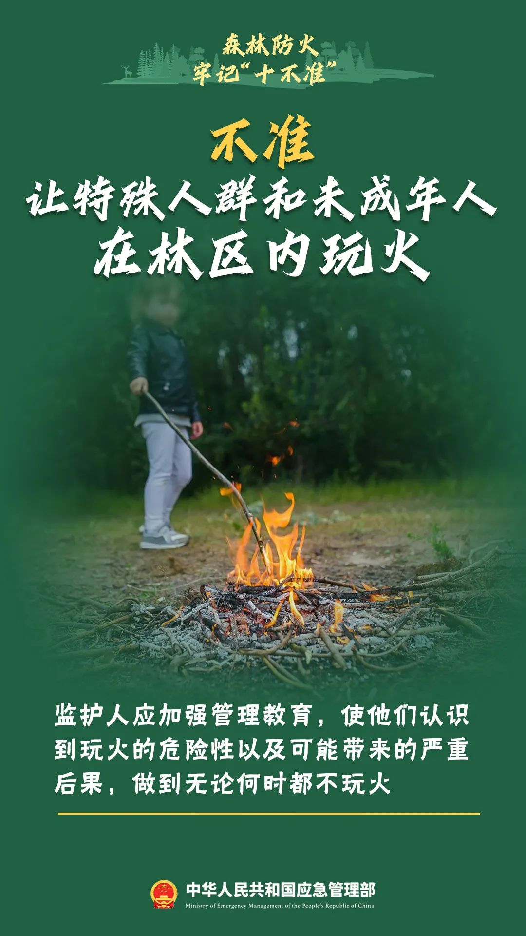 6550708_3623d278-d84f-4681-8725-a29b284fb389.jpg