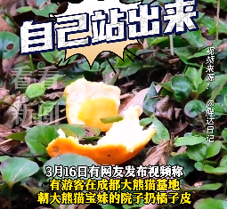 640?wx_fmt=png&from=appmsg