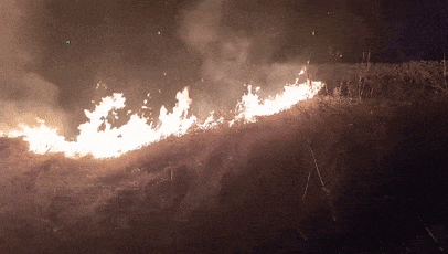 640?wx_fmt=gif&from=appmsg