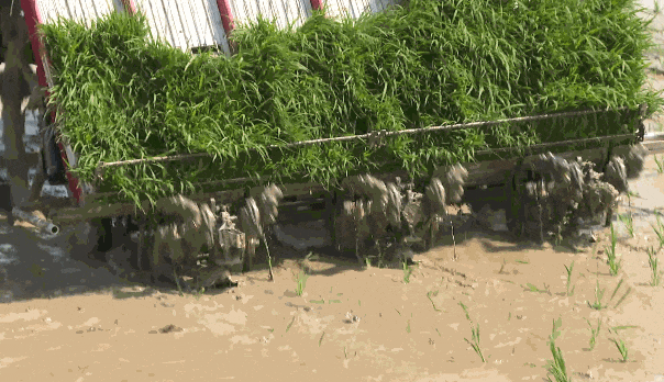 640?wx_fmt=gif&from=appmsg