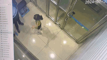 640?wx_fmt=gif&from=appmsg