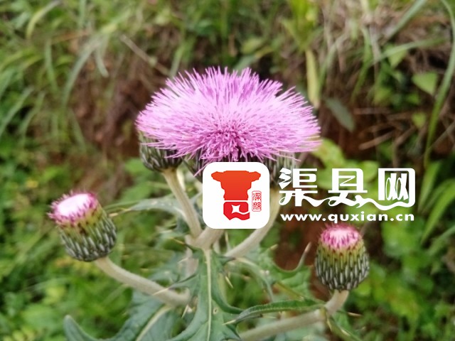 20250511065757front2_0_245504_Fhhv_NPuMS7kUaW5aCQw2TMXagRZ.jpg