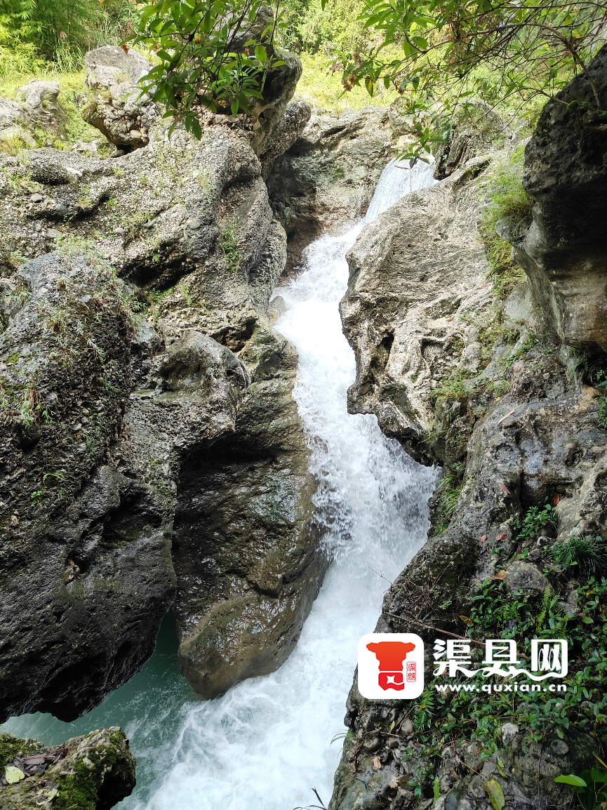 20250511092032front2_0_109020_FqwFDN0SorvxGxhAaO0OPT8TwF6-.png