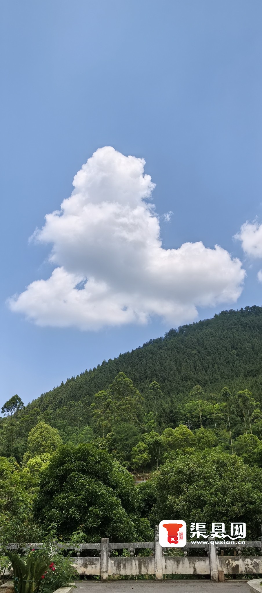 《賨魂之谷：渠县传奇》开端