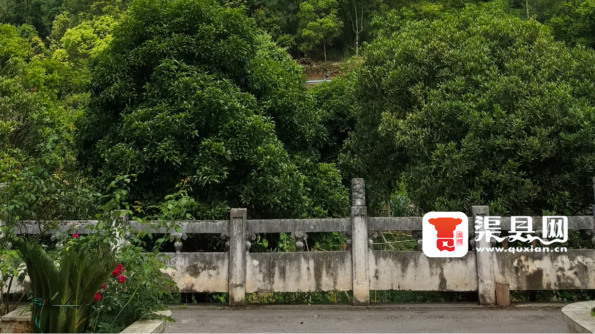《賨魂之谷：渠县传奇》结局