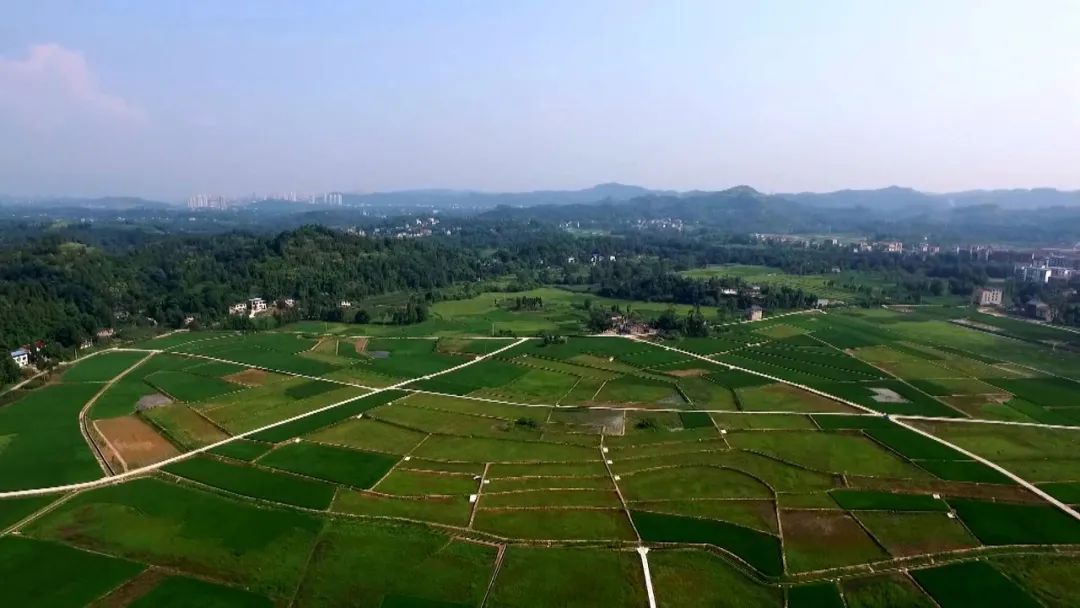 渠县：智能农机+精准调控 夏收夏种一气呵成
