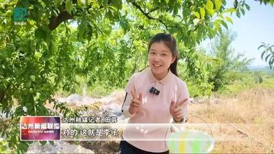 640?wx_fmt=jpeg&from=appmsg