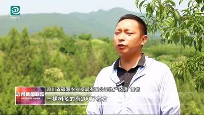 640?wx_fmt=jpeg&from=appmsg