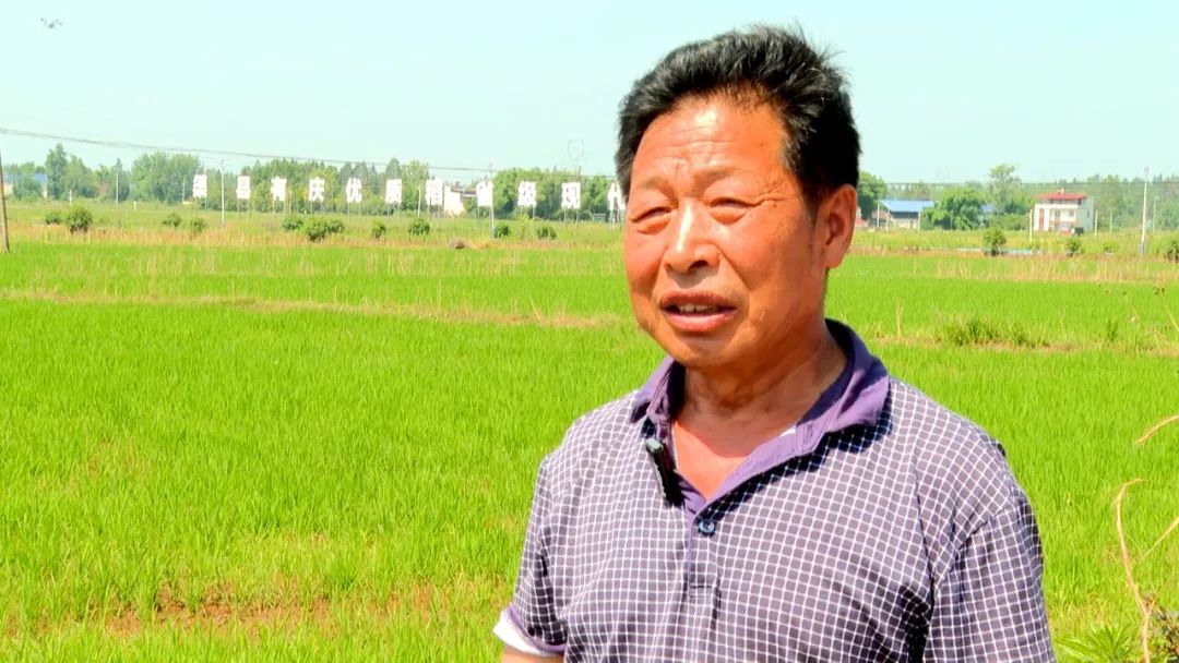 640?wx_fmt=jpeg&from=appmsg