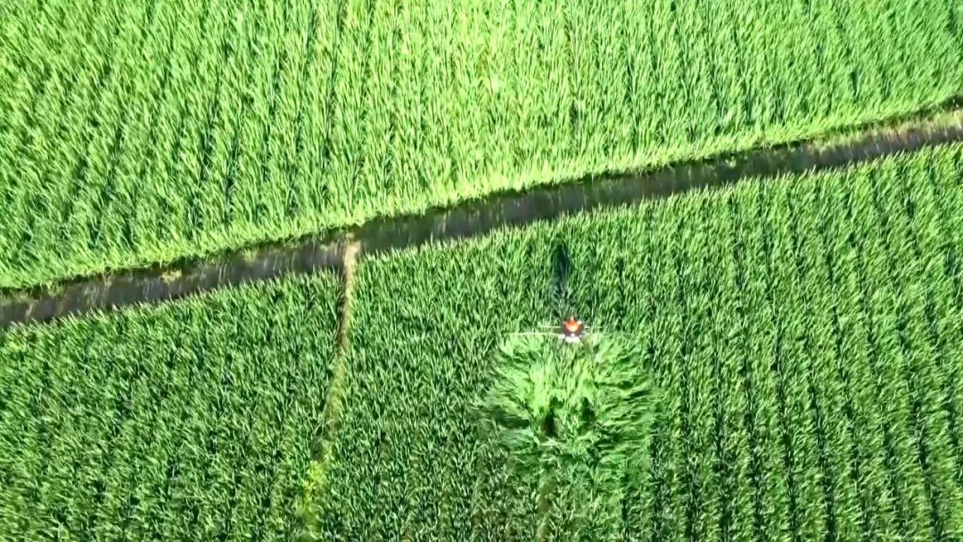 640?wx_fmt=jpeg&from=appmsg