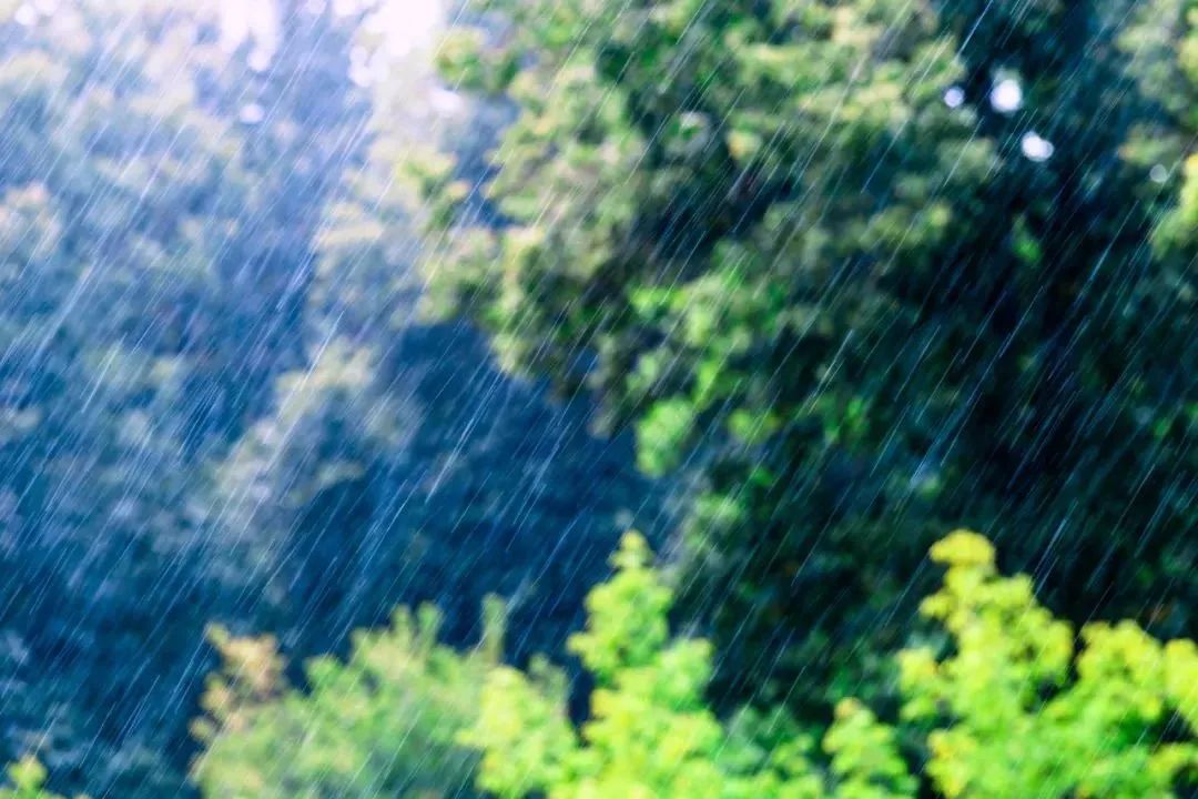 640?wx_fmt=jpeg&from=appmsg