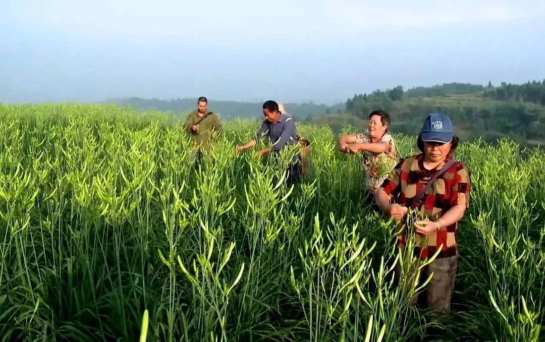 640?wx_fmt=jpeg&from=appmsg