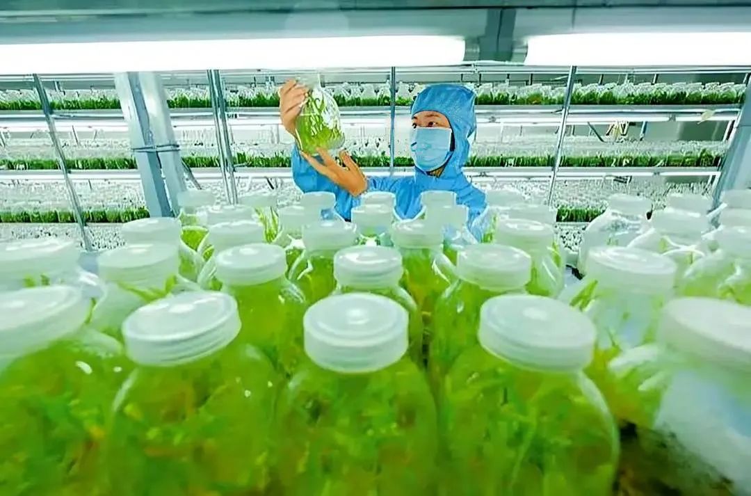 640?wx_fmt=jpeg&from=appmsg